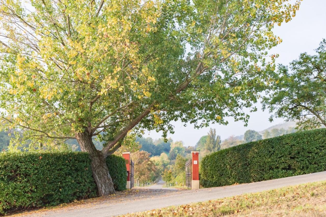 Ca Palazzo Malvasia - Bolognarooms Sasso Marconi Eksteriør billede